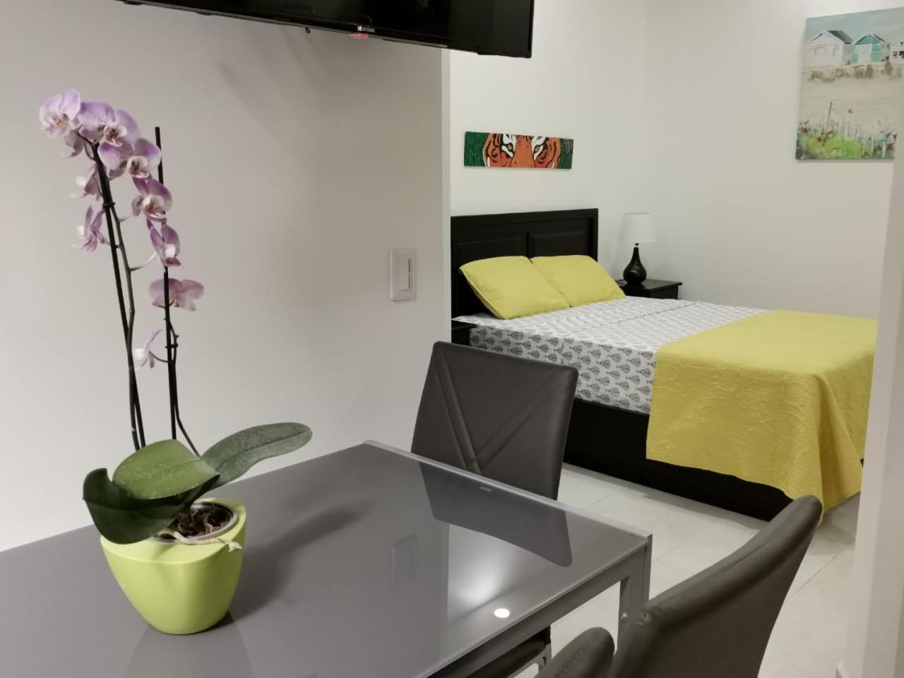 935 Lodge San José Kültér fotó